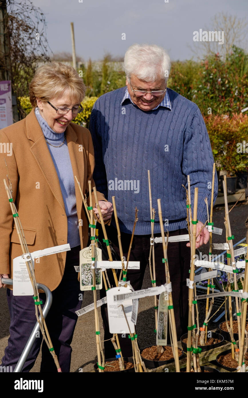 Vieux couple en 70s à la recherche dans les usines de centre de jardin au printemps. Pays de Galles UK Banque D'Images