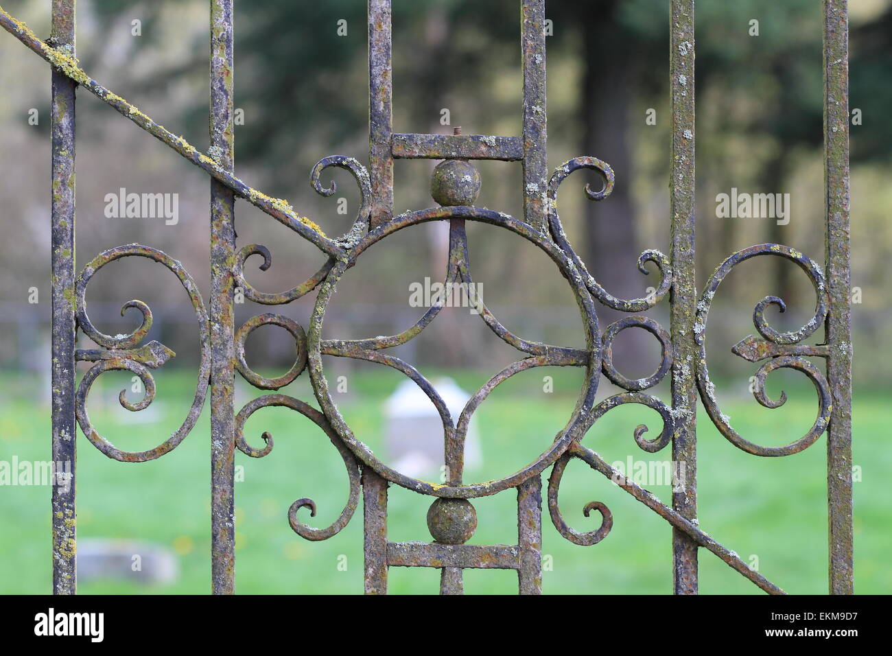 Ornamental Metal Gate Banque D'Images