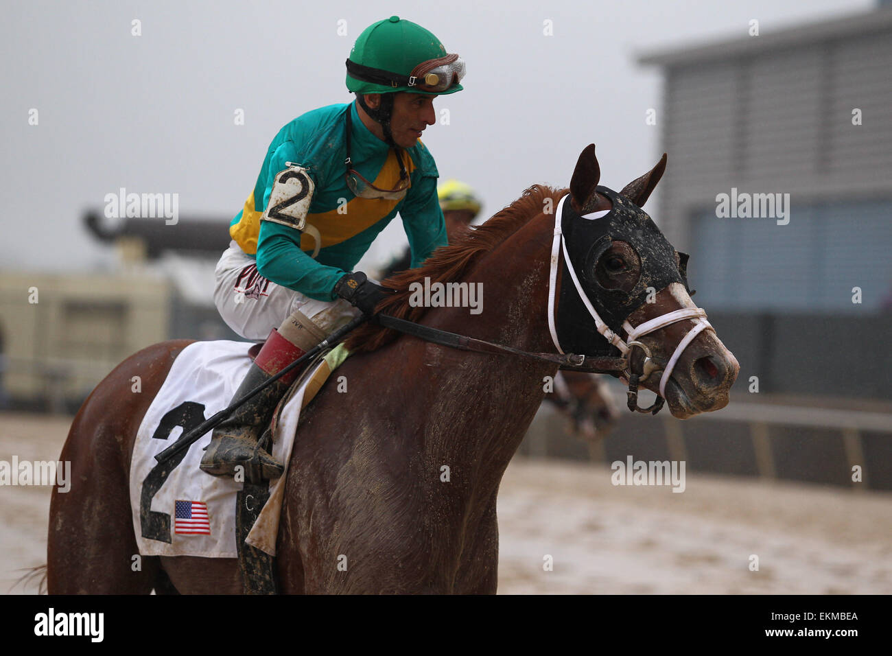 14 mars 2015 - Hot Springs, AR, États-Unis - 14 mars 2015 : Madefromlucky avec jockey John Velazquez à bord après l'exécution de la Rebel stakes à Oaklawn Park à Hot Springs, AR. Justin Manning/ESW/CSM Banque D'Images