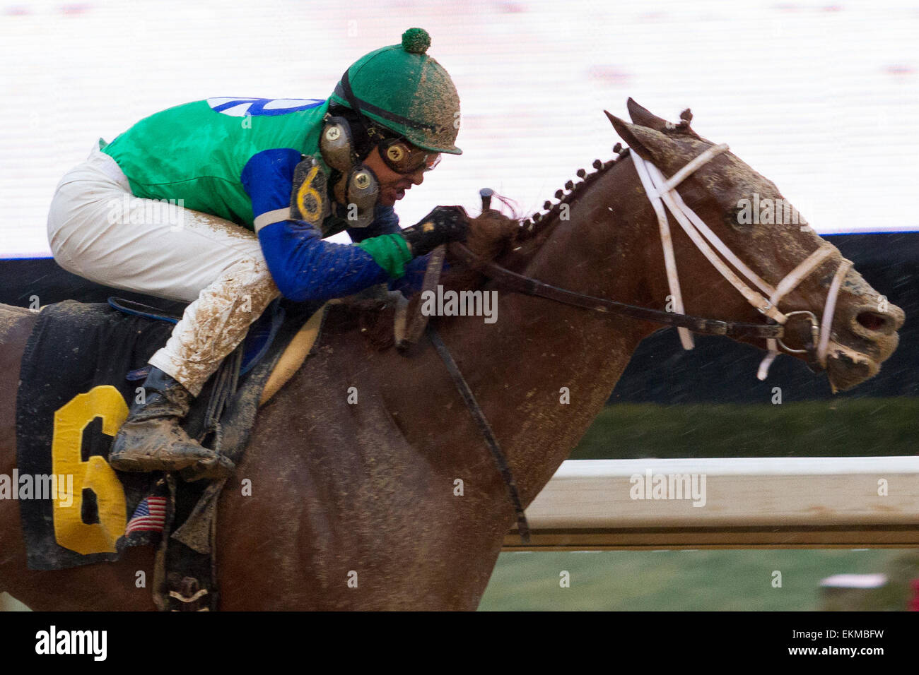 22 févr. 2015 - Hot Springs, AR, États-Unis - 22 Février 2015 : l'extrême droite avec jockey Mike Smith à bord avant de gagner le sud-ouest de Stakes (Grade III) à Oaklawn Park à Hot Springs, AR. Justin Manning/ESW/CSM Banque D'Images