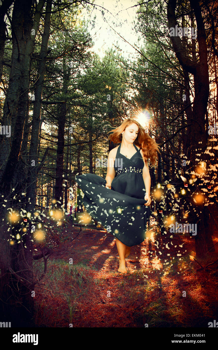 Forêt de fantaisie Banque D'Images