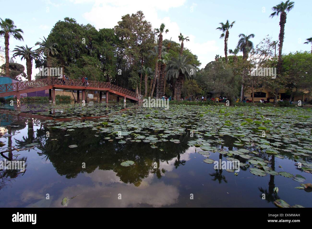 Giza, Egypte. Apr 12, 2015. Egyptiens visiter le spring flower, exposition présentée au Jardin Botanique Orman à Gizeh, Egypte, le 12 avril 2015. Les égyptiens célèbrent la Sham El Nessim, ou le Festival de brise de printemps, qui marque le début du printemps, le 13 avril. Credit : Ahmed Gomaa/Xinhua/Alamy Live News Banque D'Images