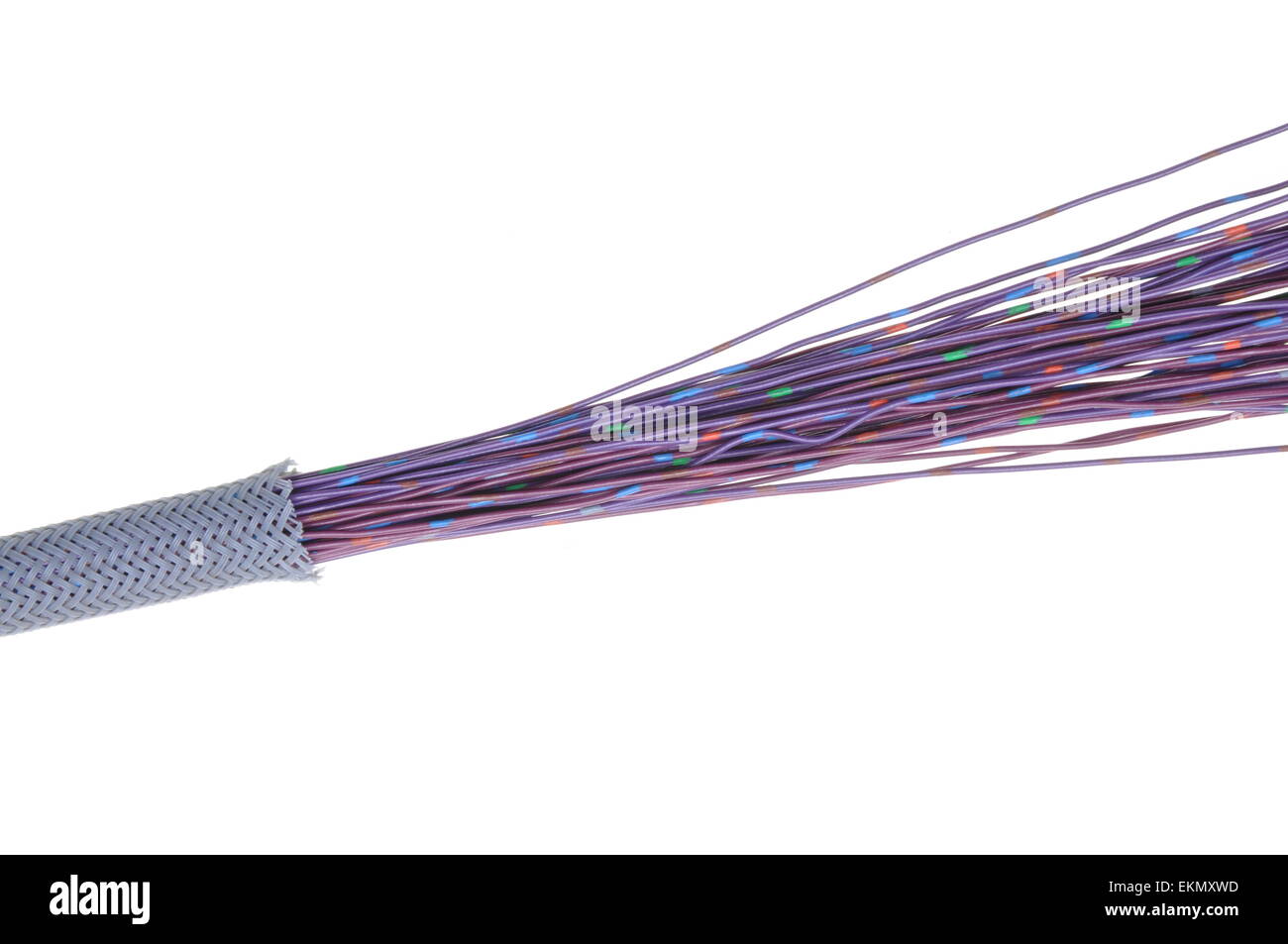 Les fils électriques du câble violet avec bouclier Banque D'Images