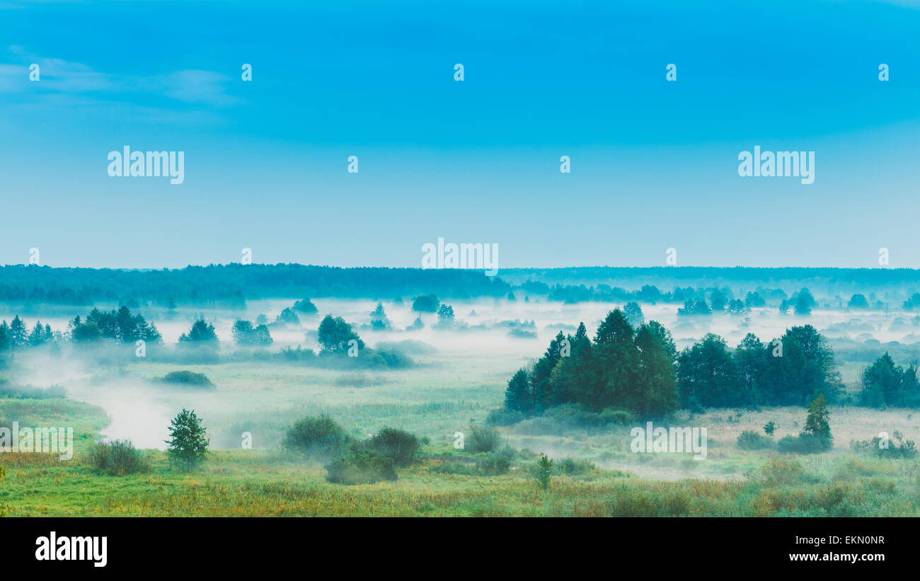 Nature Paysage russe, la fin de l'été dans la forêt de brouillard du matin. Vue Panoramique vue panoramique Banque D'Images