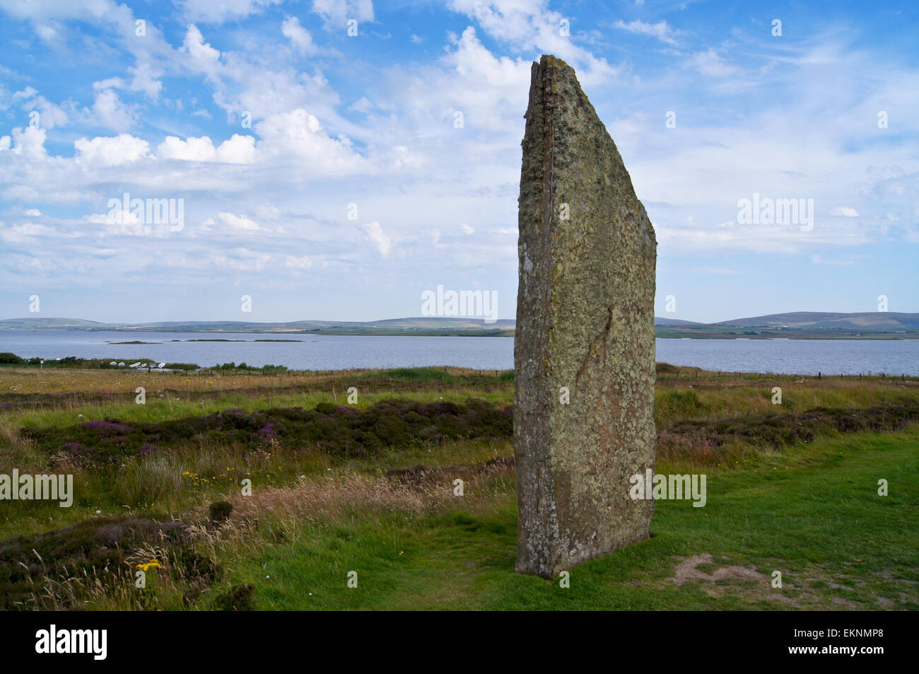 Anneau ou néolithique Shetlands standing stone, Ness de Shetlands, Orkney islanda, Ecosse Banque D'Images