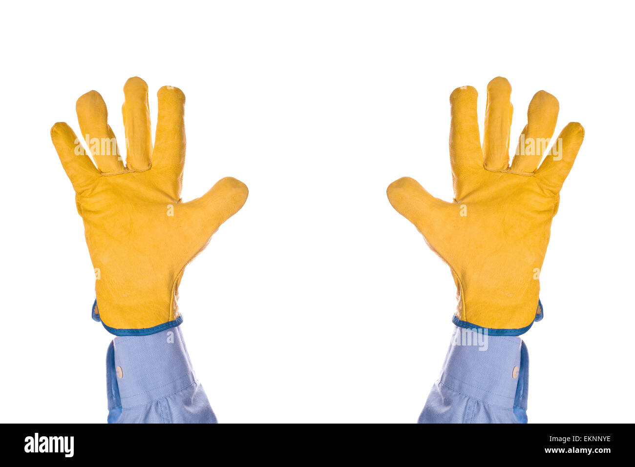 Ingénieur de construction portant des gants de protection en cuir jaune d'abandonner avec les mains levées en l'air, isolated on white Banque D'Images