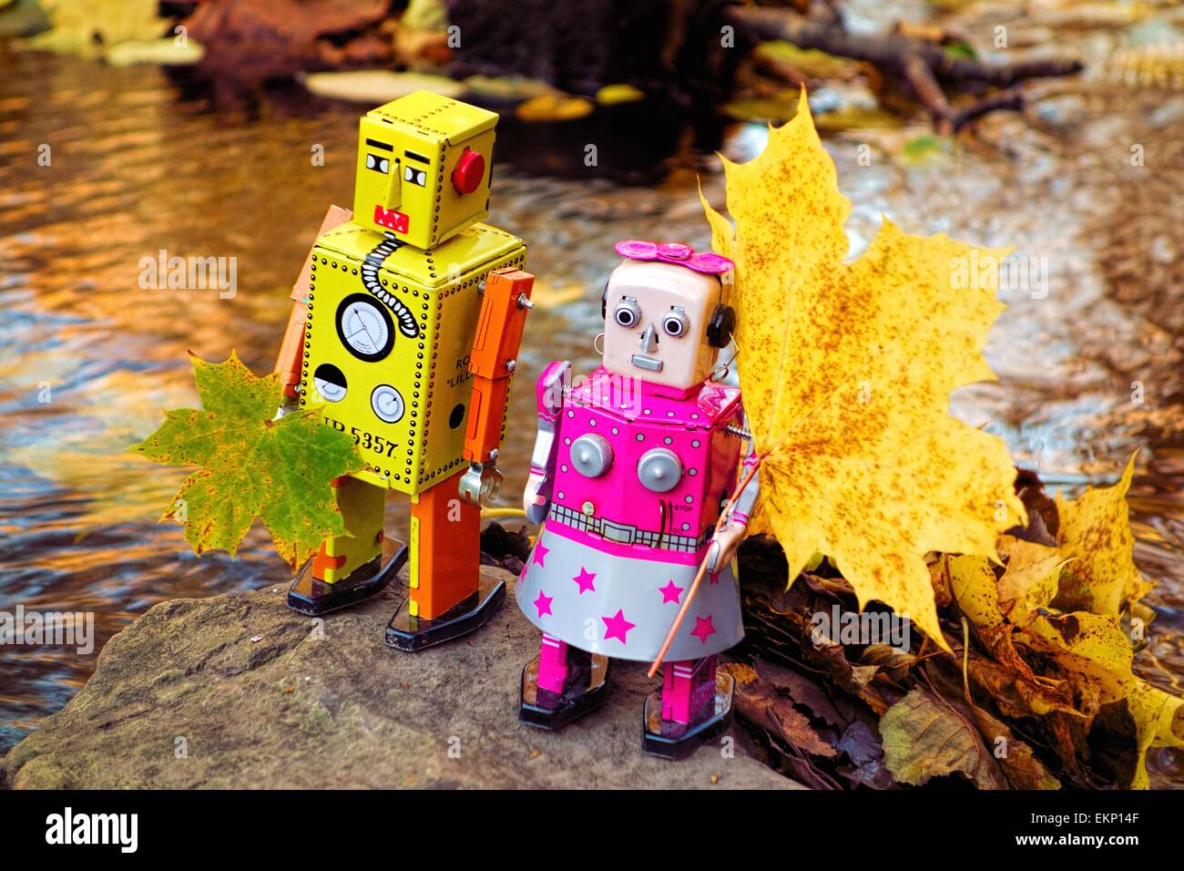 La collecte des robots les feuilles d'automne par la rivière. Banque D'Images