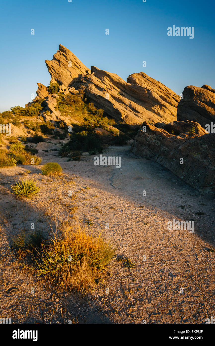 Les plantes et les rochers à Vasquez Rocks County Park, dans la région de Agua Dulce, en Californie. Banque D'Images