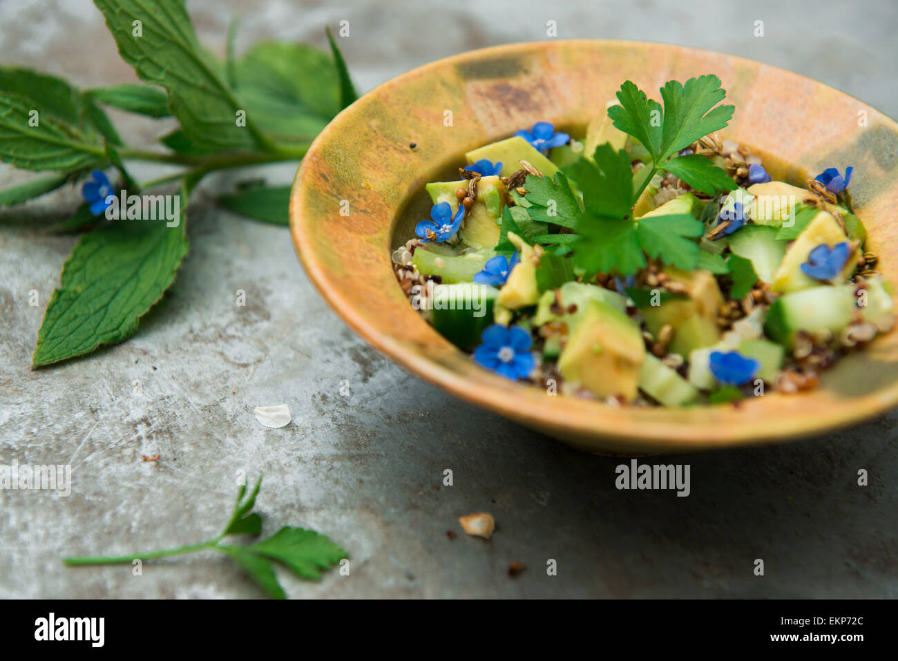 Salade d'avocat avec quiona décoré de fleurs de bourrache comestible Banque D'Images