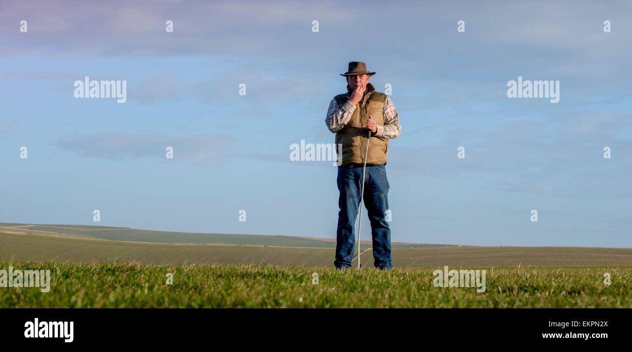 Darren Greenfield - Berger sur les South Downs avec sa belle Colley barbu et le chien de berger les agneaux nouveau-nés. Banque D'Images