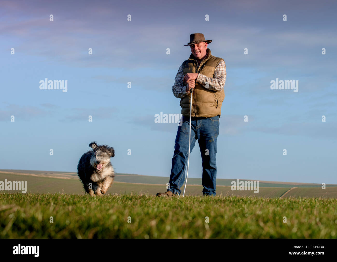 Darren Greenfield - Berger sur les South Downs avec sa belle Colley barbu et le chien de berger les agneaux nouveau-nés. Banque D'Images