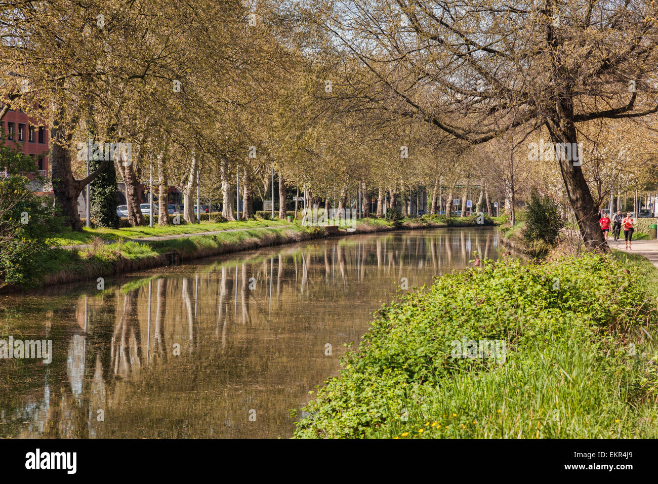 Canal du Midi, Toulouse, Haute-Garonne, Midi-Pyrénées, France. Banque D'Images