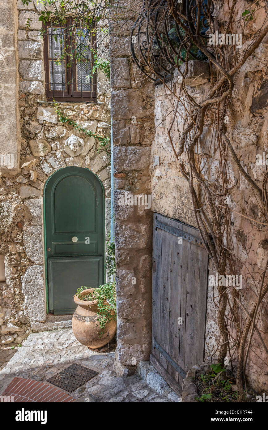 Un livre vert en bois cintrées porte avant dans une vieille maison en pierre avec une vigne grandit la paroi adjacente Banque D'Images