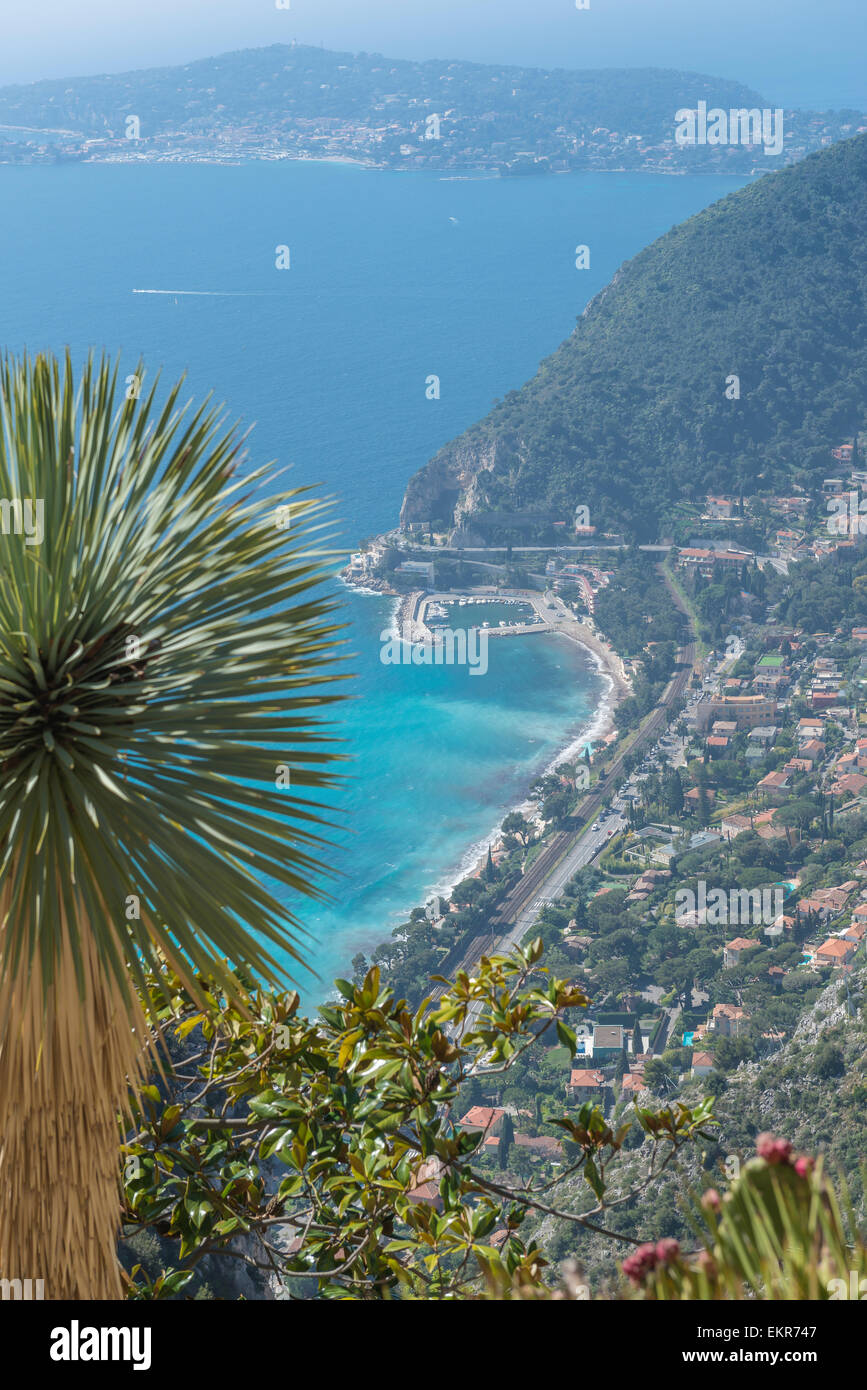 Une vue surélevée sur Eze-sur-Mer et le bleu azur de la Méditerranée grâce à un palm hérissés à l'avant-plan Banque D'Images