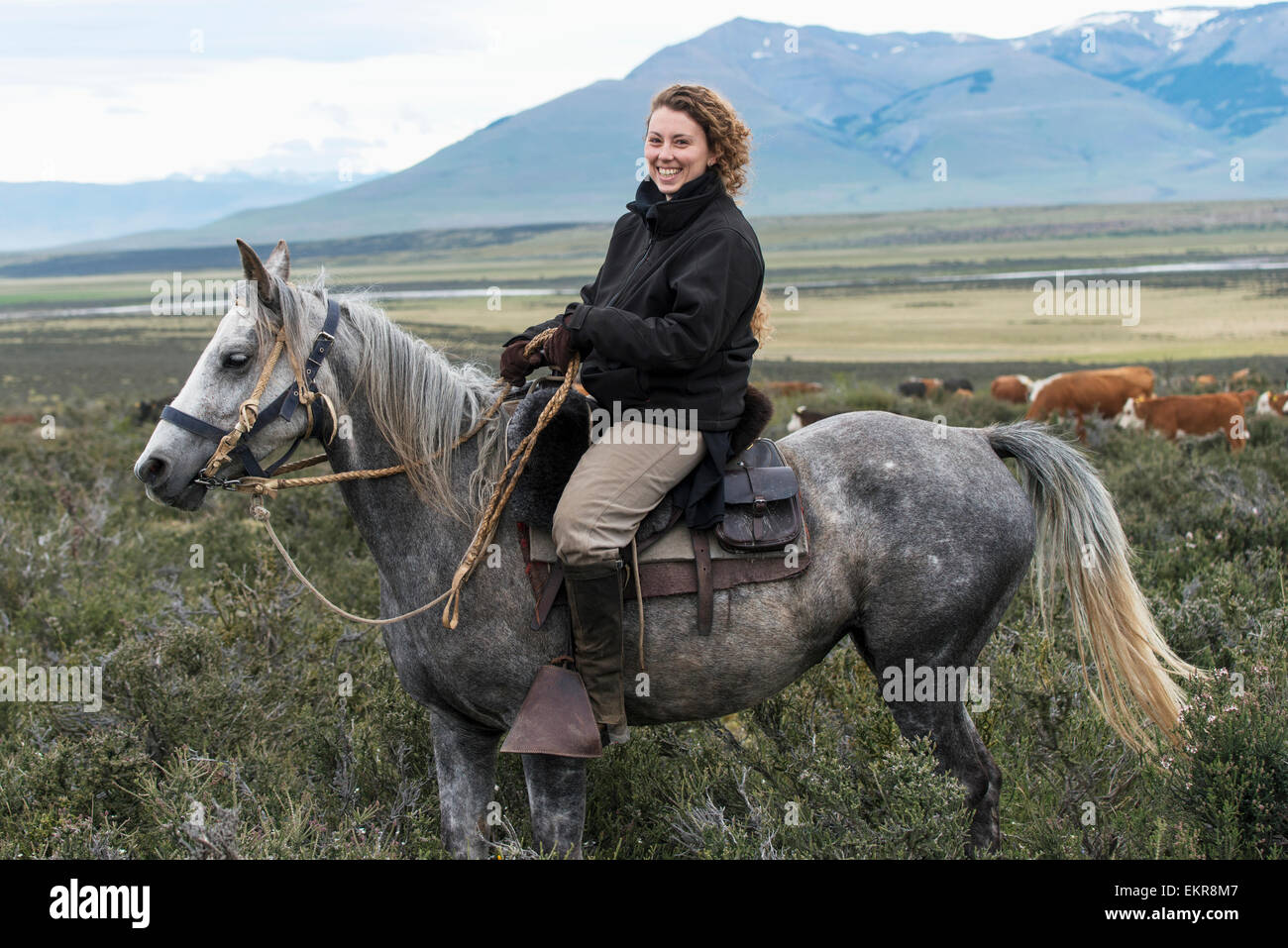 L',femme,le Chili,Np Torres del Paine Banque D'Images