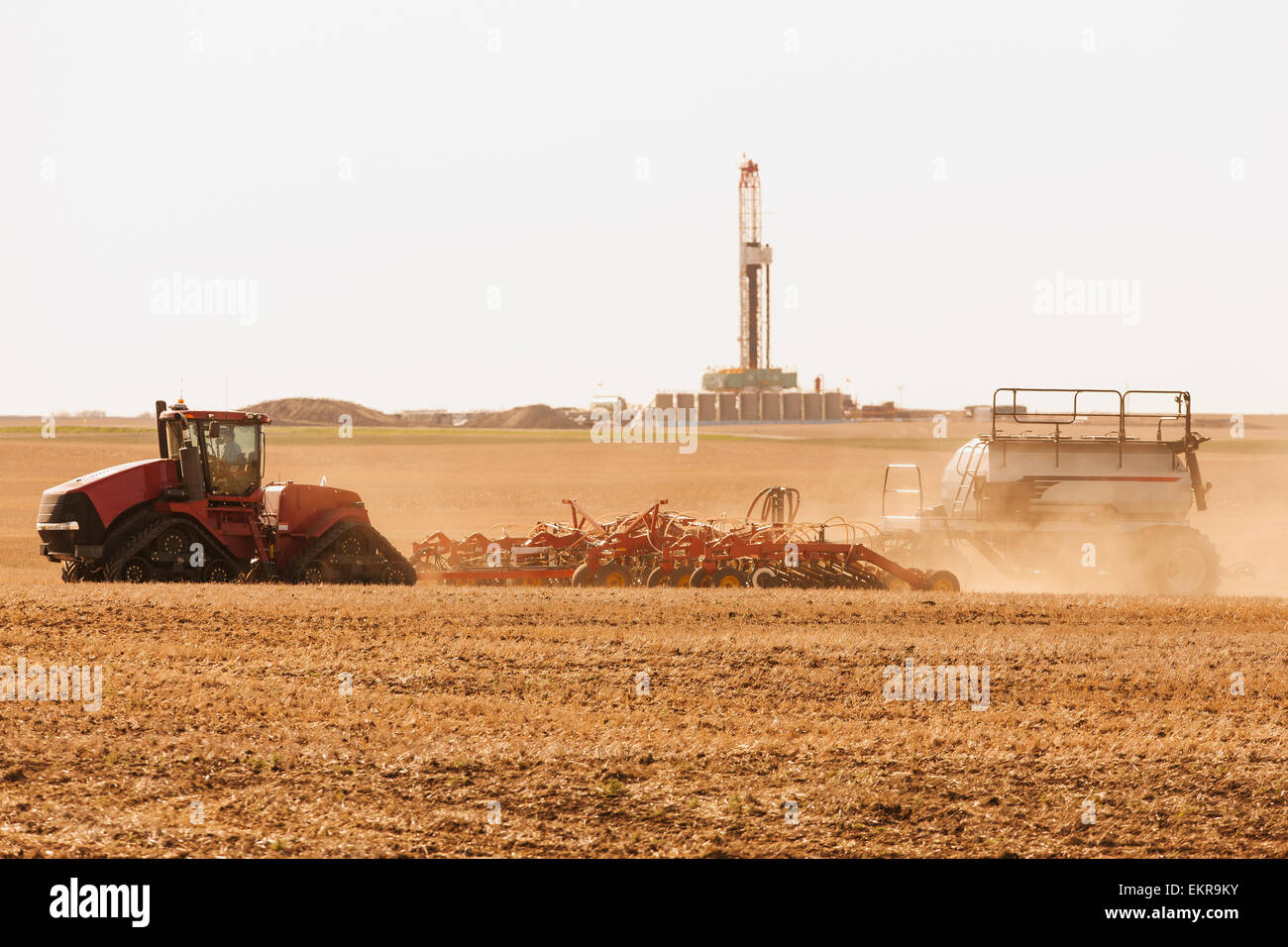 Les lentilles agriculteur plante à proximité d'une plateforme de forage dans la région pétrolière de Bakken dans Williams Comté, près de Ray, Dakota du Nord, USA Banque D'Images