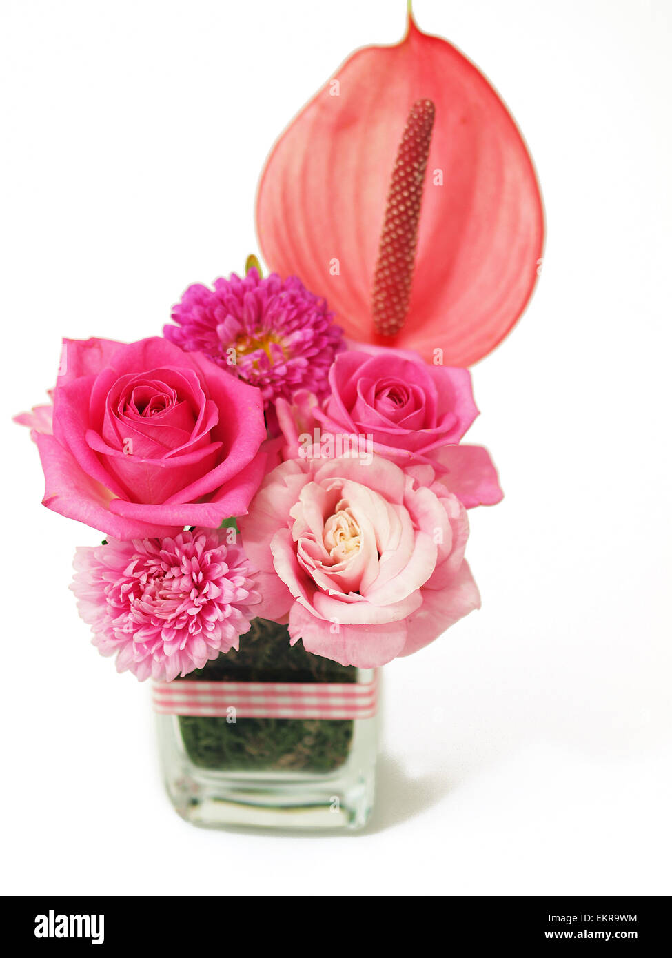 Belles fleurs rose rose Banque D'Images