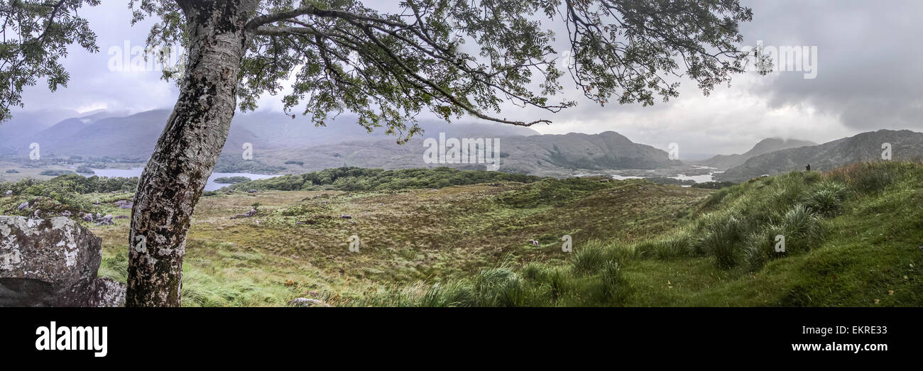 Panorama du paysage au Ladies View, le Parc National de Killarney, Iveragh, comté de Kerry, Irlande Banque D'Images