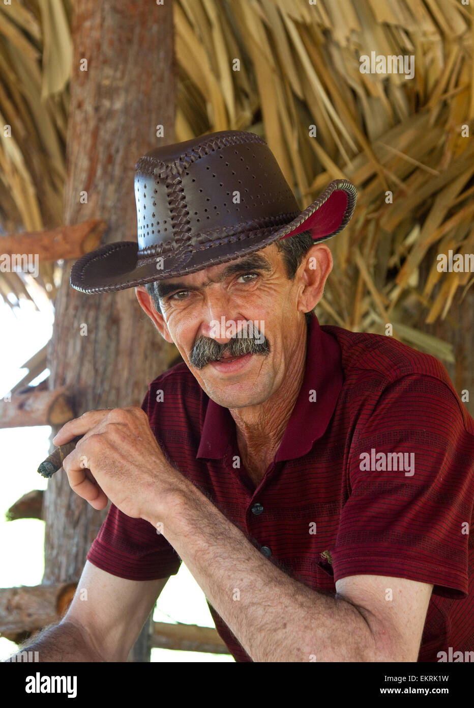 Un cultivateur de tabac dans sa grange dans la région de Vinales, Cuba Banque D'Images