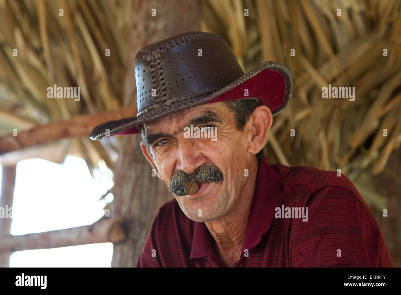 Un cultivateur de tabac dans sa grange dans la région de Vinales, Cuba Banque D'Images