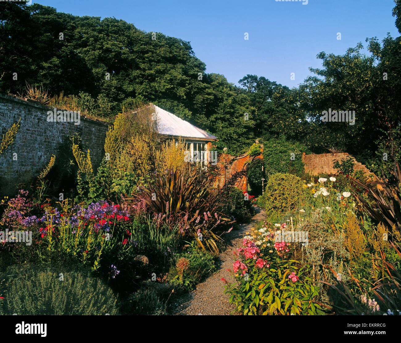Beaulieu House and Gardens, Drogheda, Co Louth, Ireland ; plantes Border Banque D'Images
