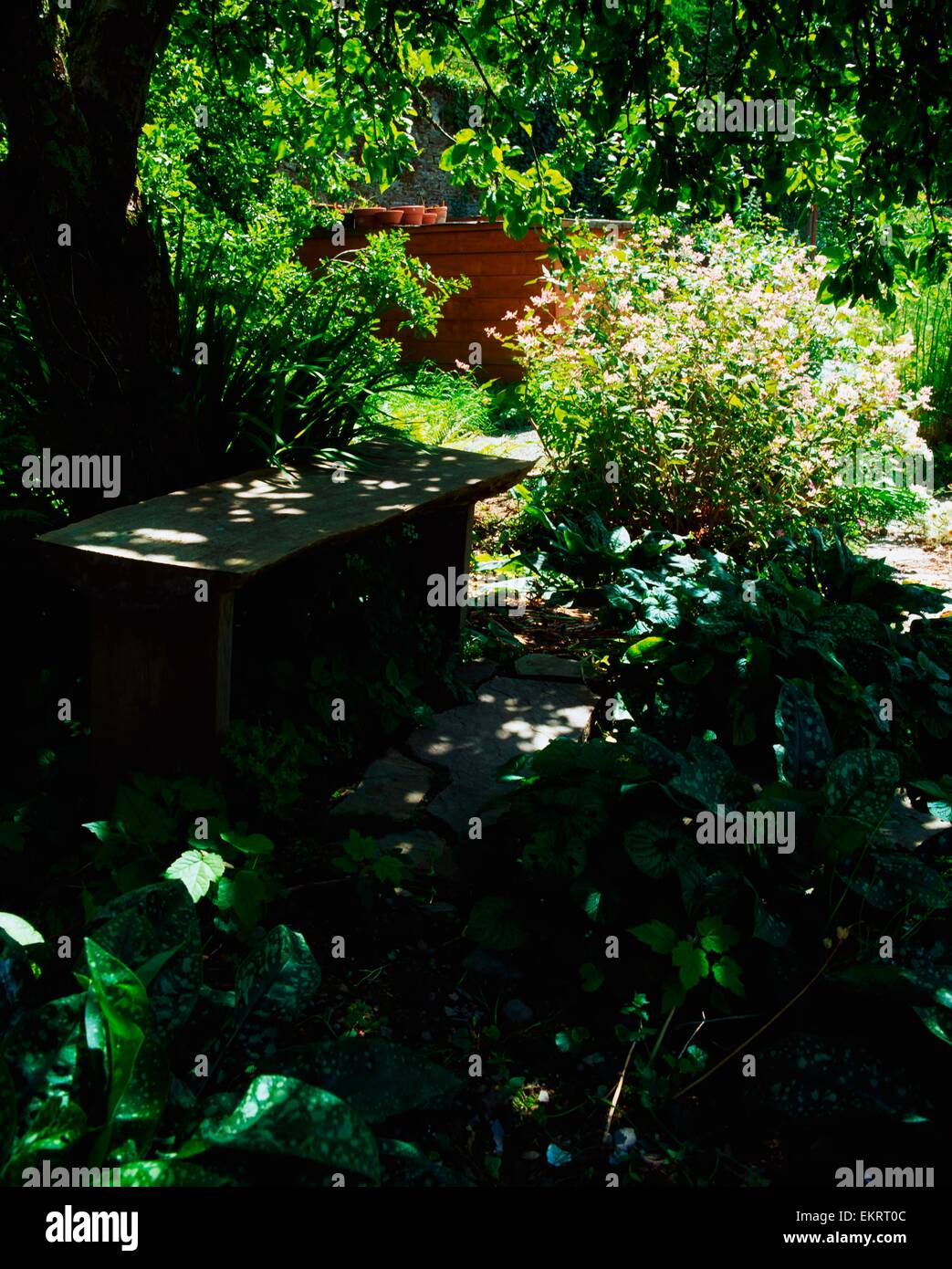 Creagh, Baltimore, Co Cork, Irlande ; pommier dans un jardin clos Banque D'Images