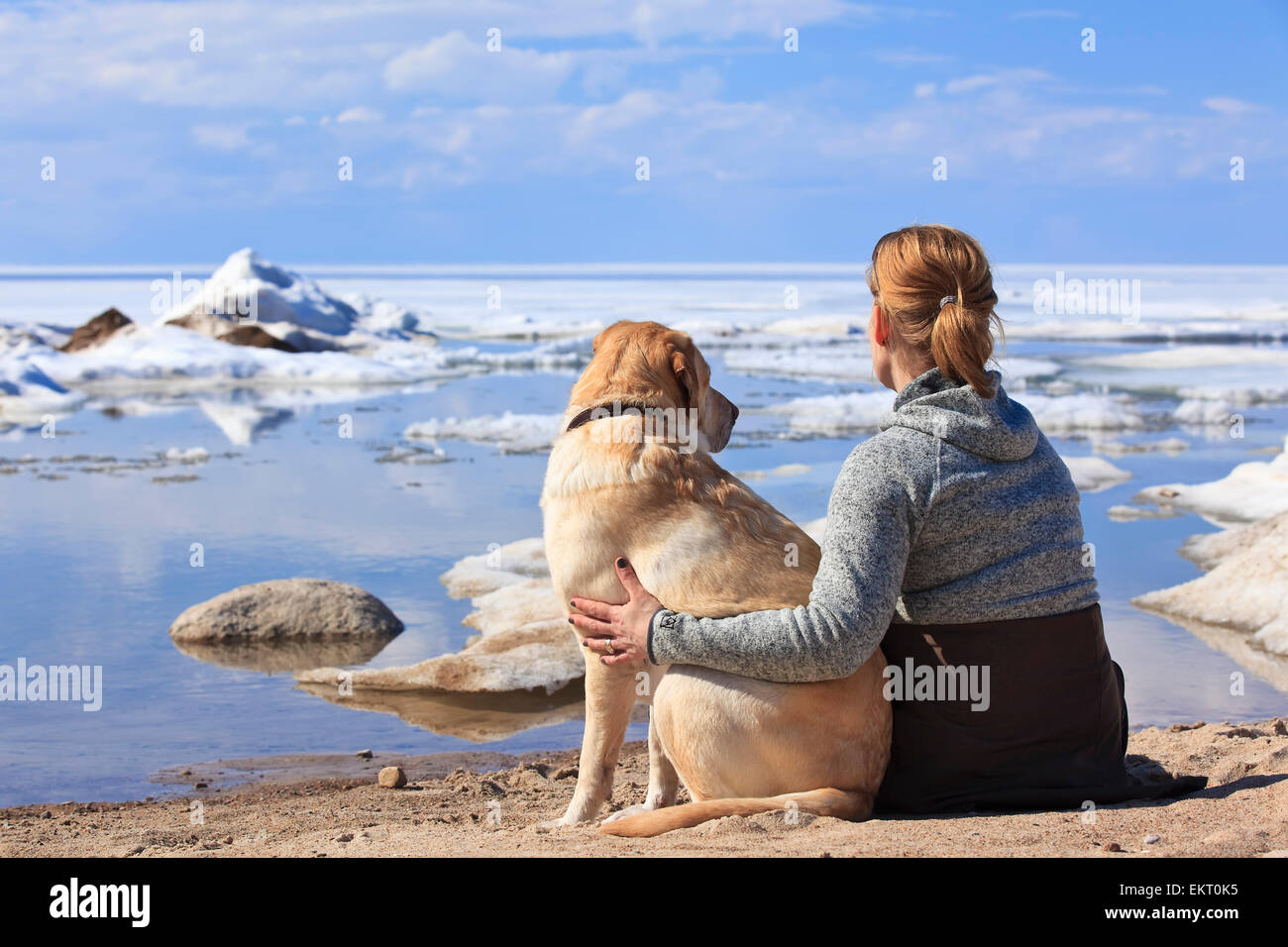 Canada, Manitoba,femme,labrador retriever dog Banque D'Images