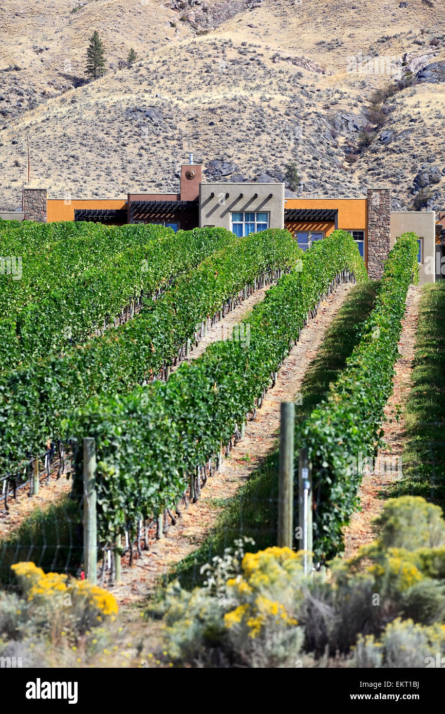 Spirit Ridge Vineyard and Winery dans la vallée de l'Okanagan, Colombie-Britannique Canada Osoyoos Banque D'Images