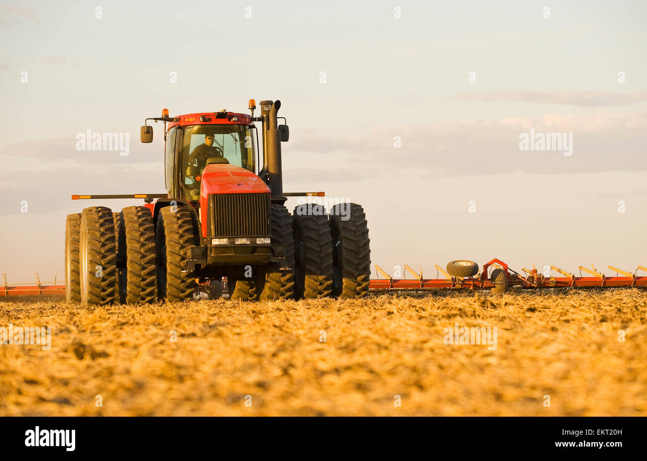 Le tracteur tirant sur la culture de l'équipement ; Lorette Manitoba Canada Banque D'Images