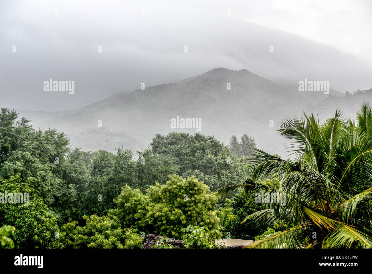 Paysage brumeux de l'Arunachala sacré Hill, près de Tiruvannamalai, Tamil Nadu, Inde Banque D'Images