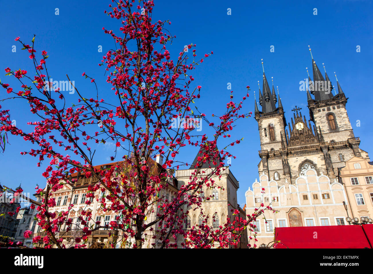 Arbre de Pâques sur la place de la Vieille Ville, Prague, République Tchèque Banque D'Images