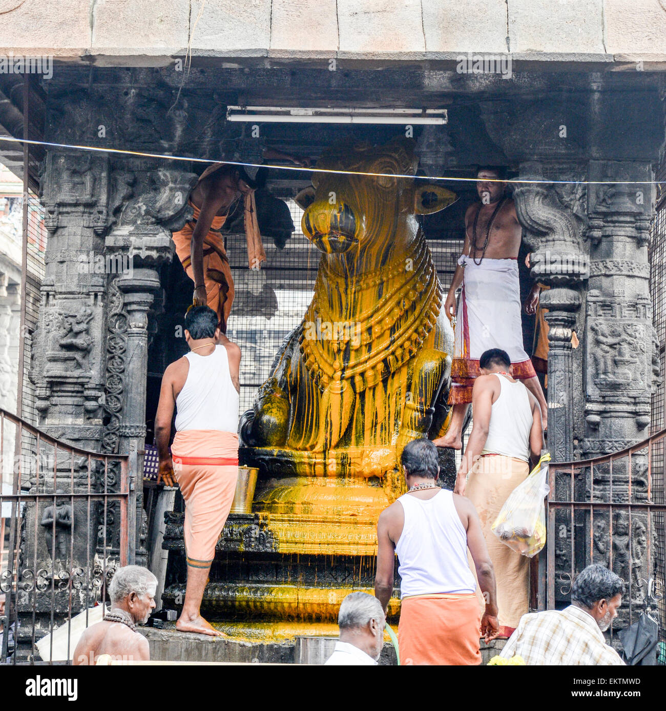 Temple Annamalaiyar est un temple hindou dédié à la déesse Shiva, situé à la base d'Annamalai Hills dans la ville de Thiruv Banque D'Images