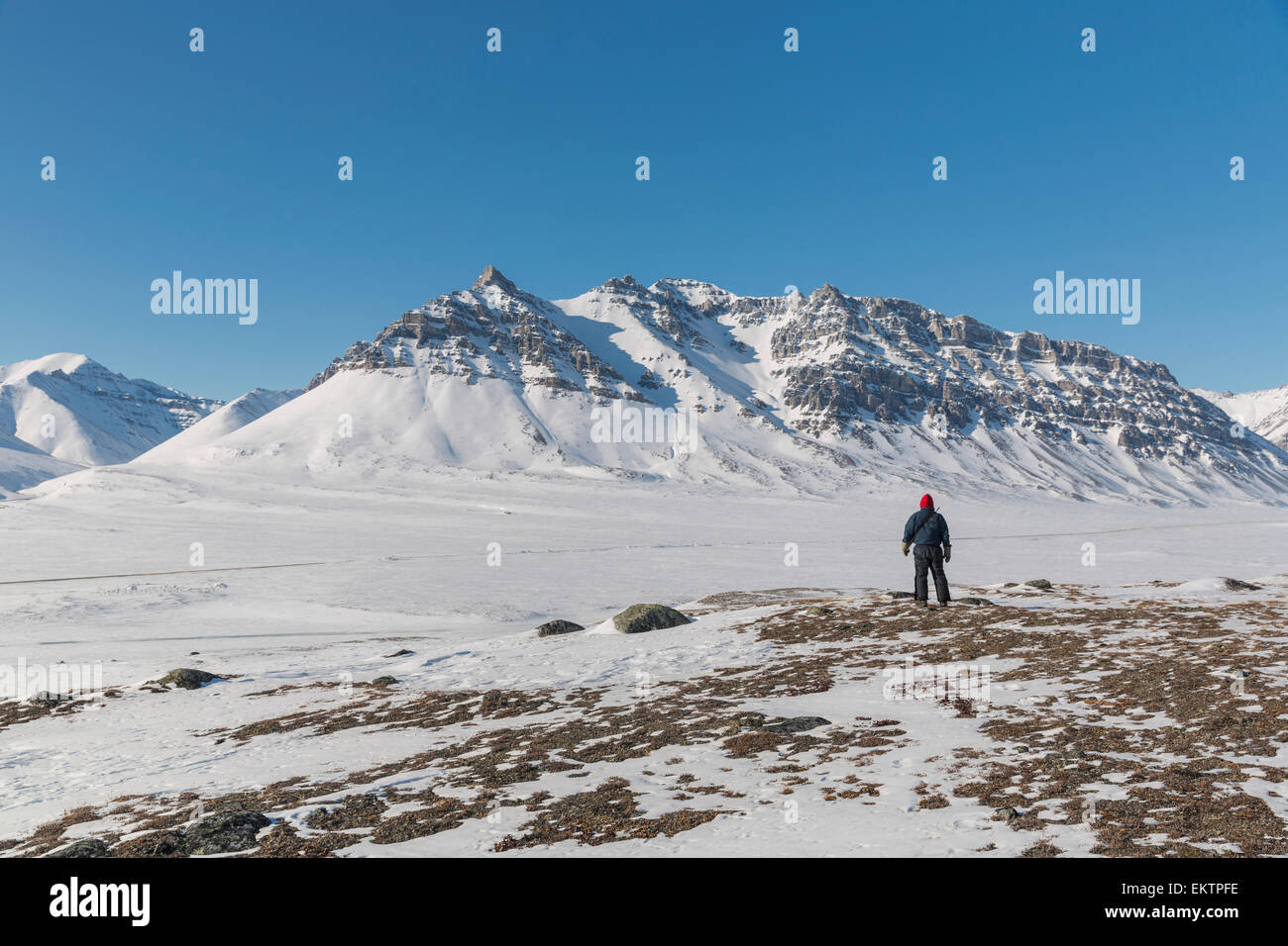 La Solitude,homme,aventure,neige,Alaska Banque D'Images