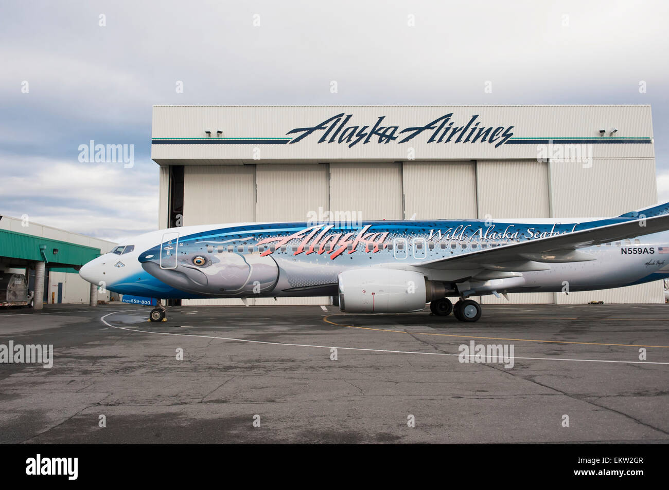 Alaska Airlines 'Salmon 30 Salmon' à l'Aéroport International Ted Stevens Anchorage, Alaska. Banque D'Images