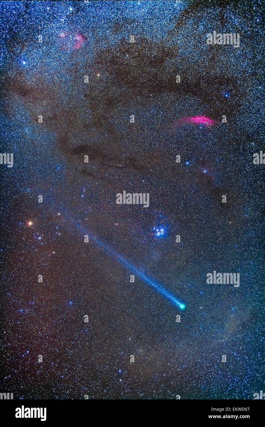 16 janvier 2016 - La comète Lovejoy (C/2014 Q2) au milieu de l'amas, nébuleuses et sombres nuages de poussière du taureau et de Persée. Sa longue blu Banque D'Images