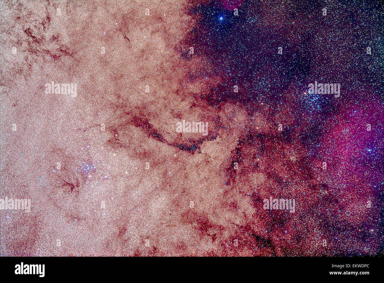 Les deux amas ouverts, Messier 7 (gauche), Ptolémée Cluster, et Messier 6 (droit), le Papillon Cluster. Messier 7 est intégré dans Banque D'Images