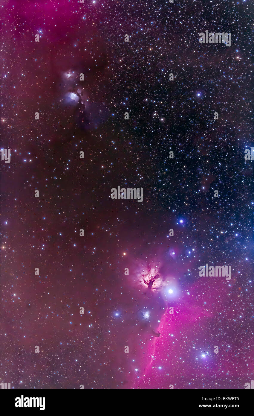 L'Horsehead Nebula (B33) en bas, ci-dessous l'étoile Zeta Orionis (aka, l'étoile Alnitak gauche de la ceinture d'Orion, NGC 2024) plus, t Banque D'Images
