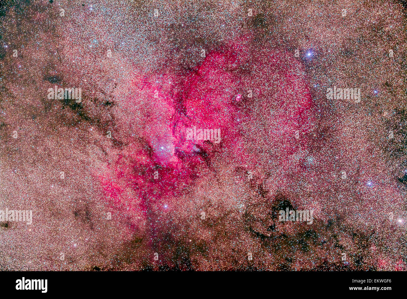 La nébulosité magenta appelée NGC 6193 dans la constellation de l'Ara dans le ciel du sud, avec l'amas ouvert NGC 6188. À l'age Banque D'Images
