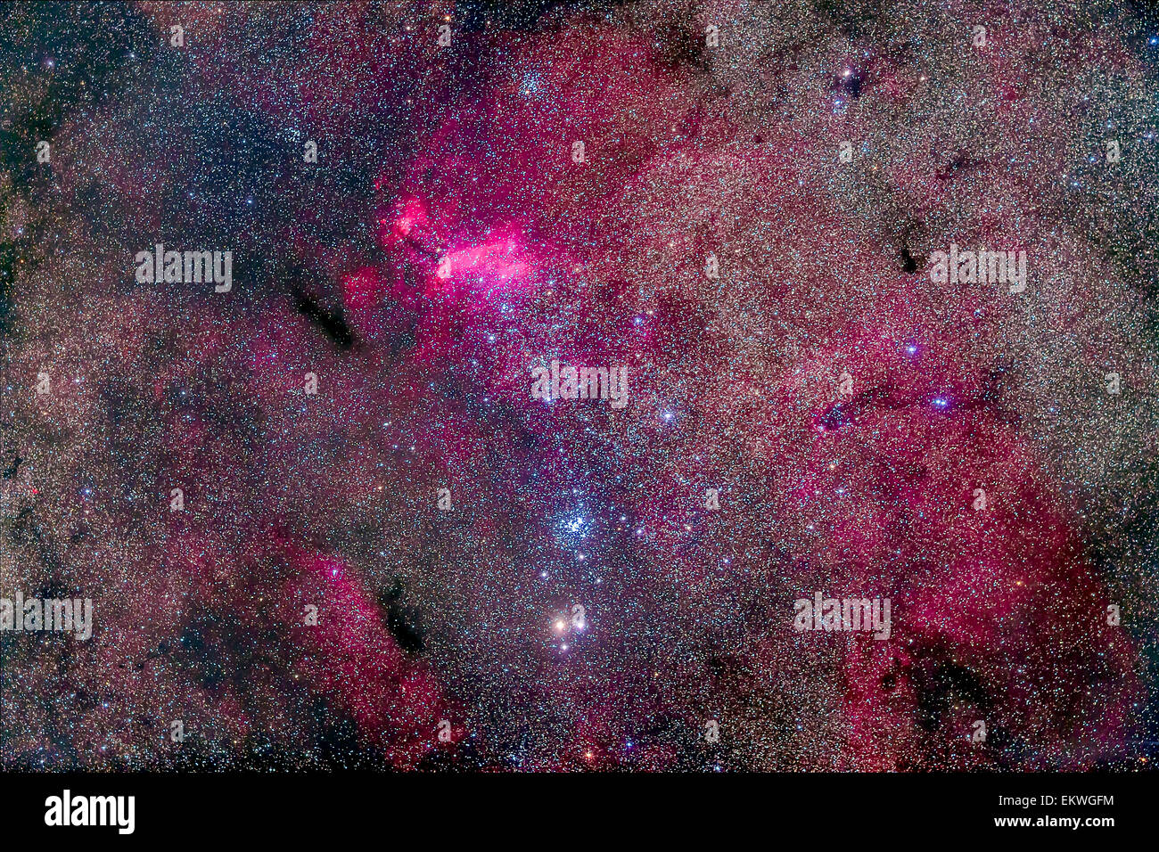 Le Faux Groupe de comètes du sud de Scorpius, qui comprend l'amas ouvert NGC 6231 et IC 4628, nébuleuse et ope Banque D'Images