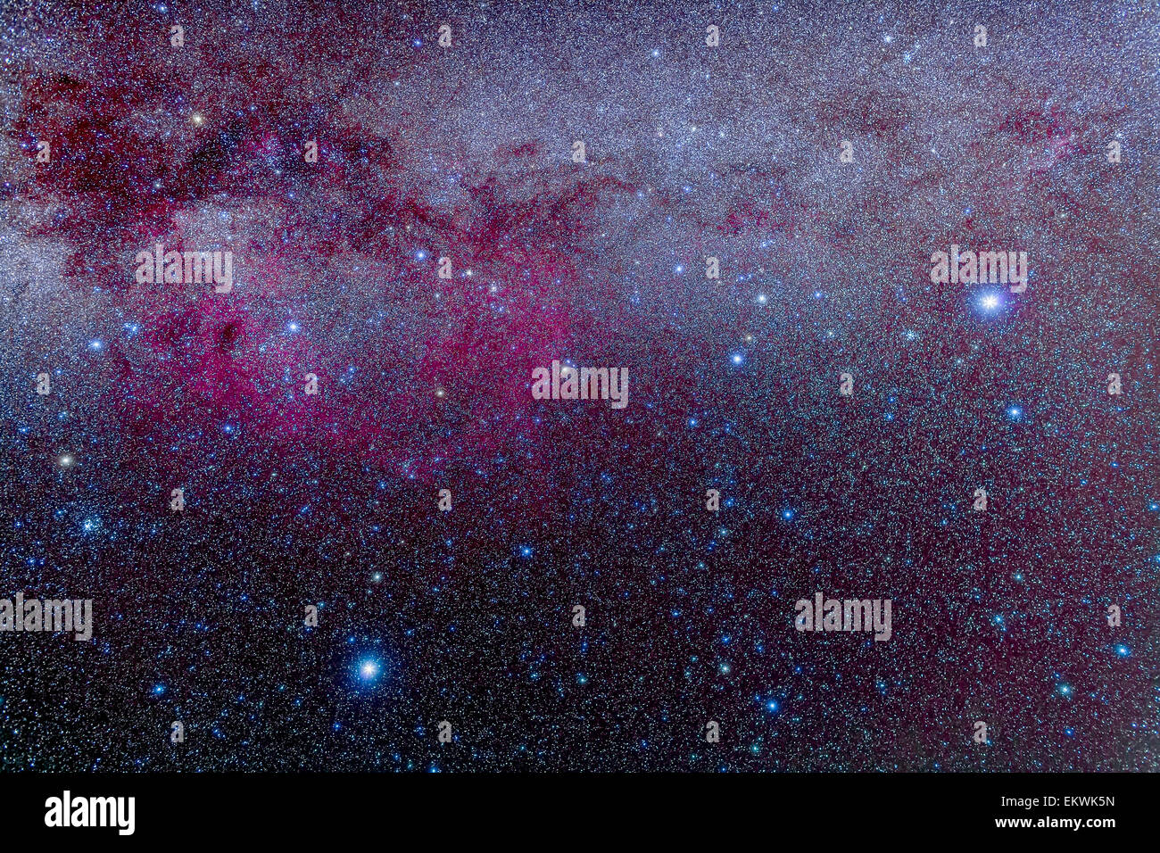 Le sud de la Voie lactée de Canis Major à Carina, y compris Puppis et Vela et la grande nébuleuse de Gum, un complexe b interstellaire Banque D'Images