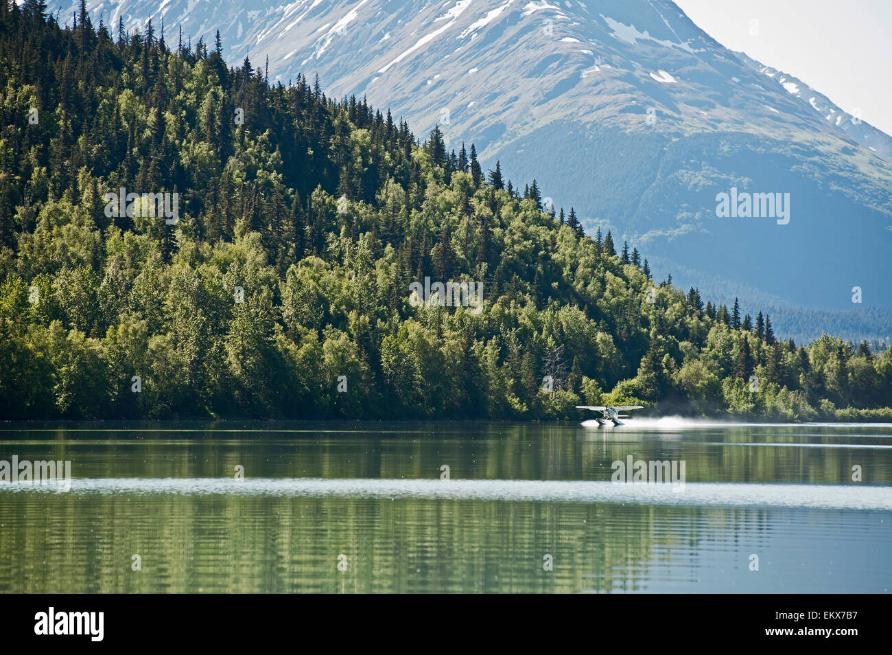 Un hydravion posé sur piste supérieure Lake, près de Moose Pass, péninsule de Kenai, l'été Banque D'Images