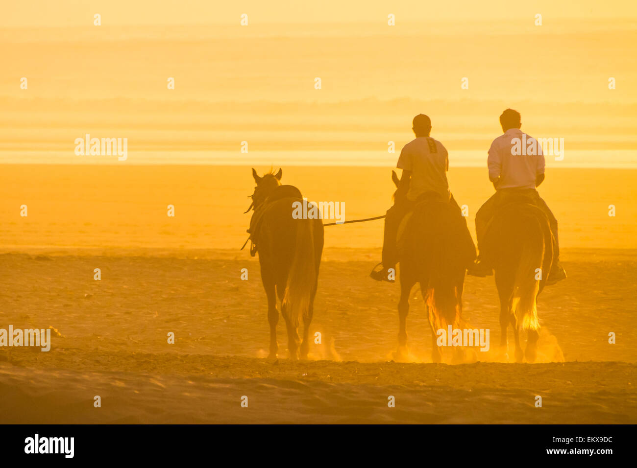 L'équitation sur la plage au coucher du soleil. Banque D'Images