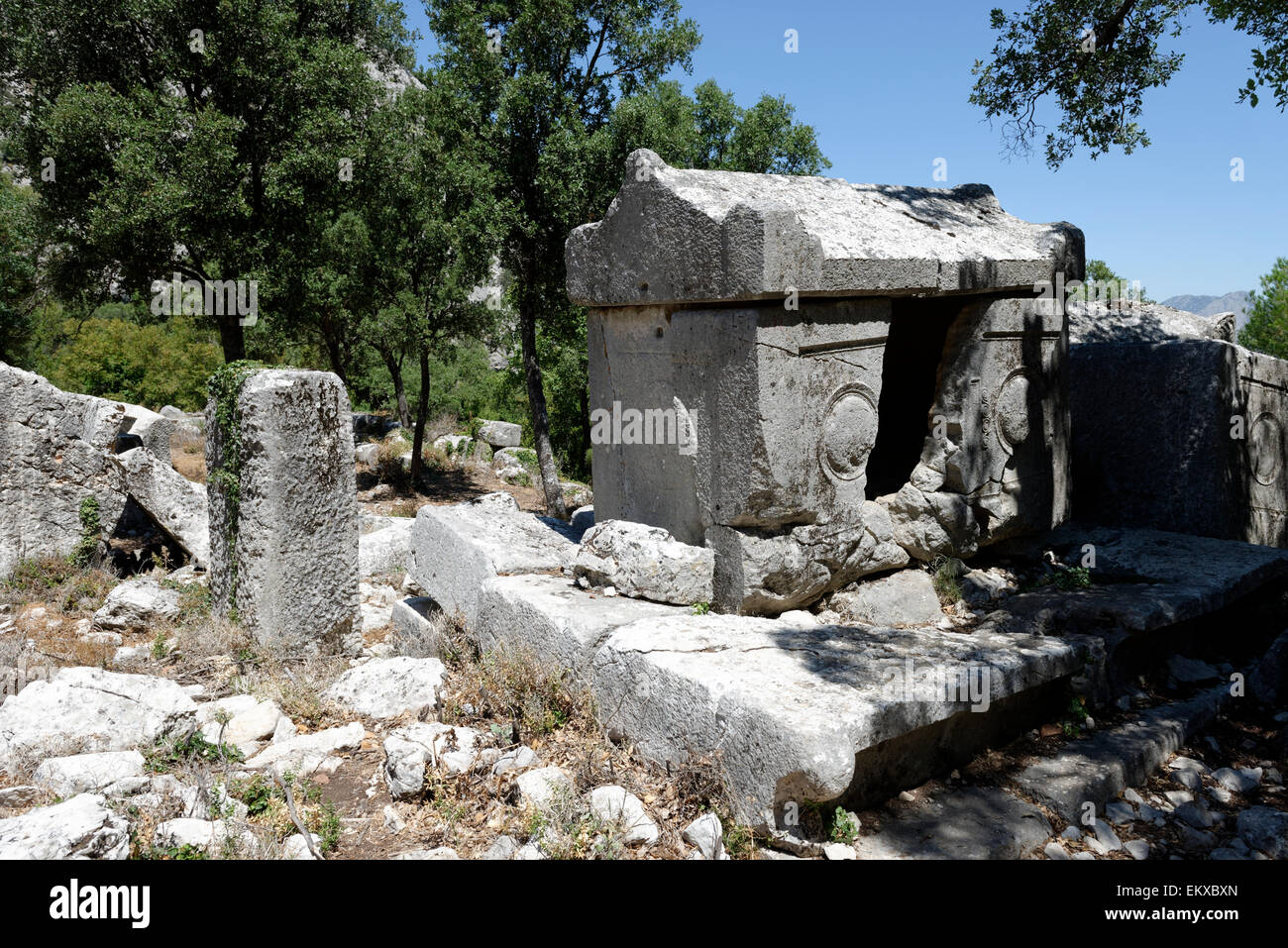 Des sarcophages et tombes brisées sur le nord de la nécropole