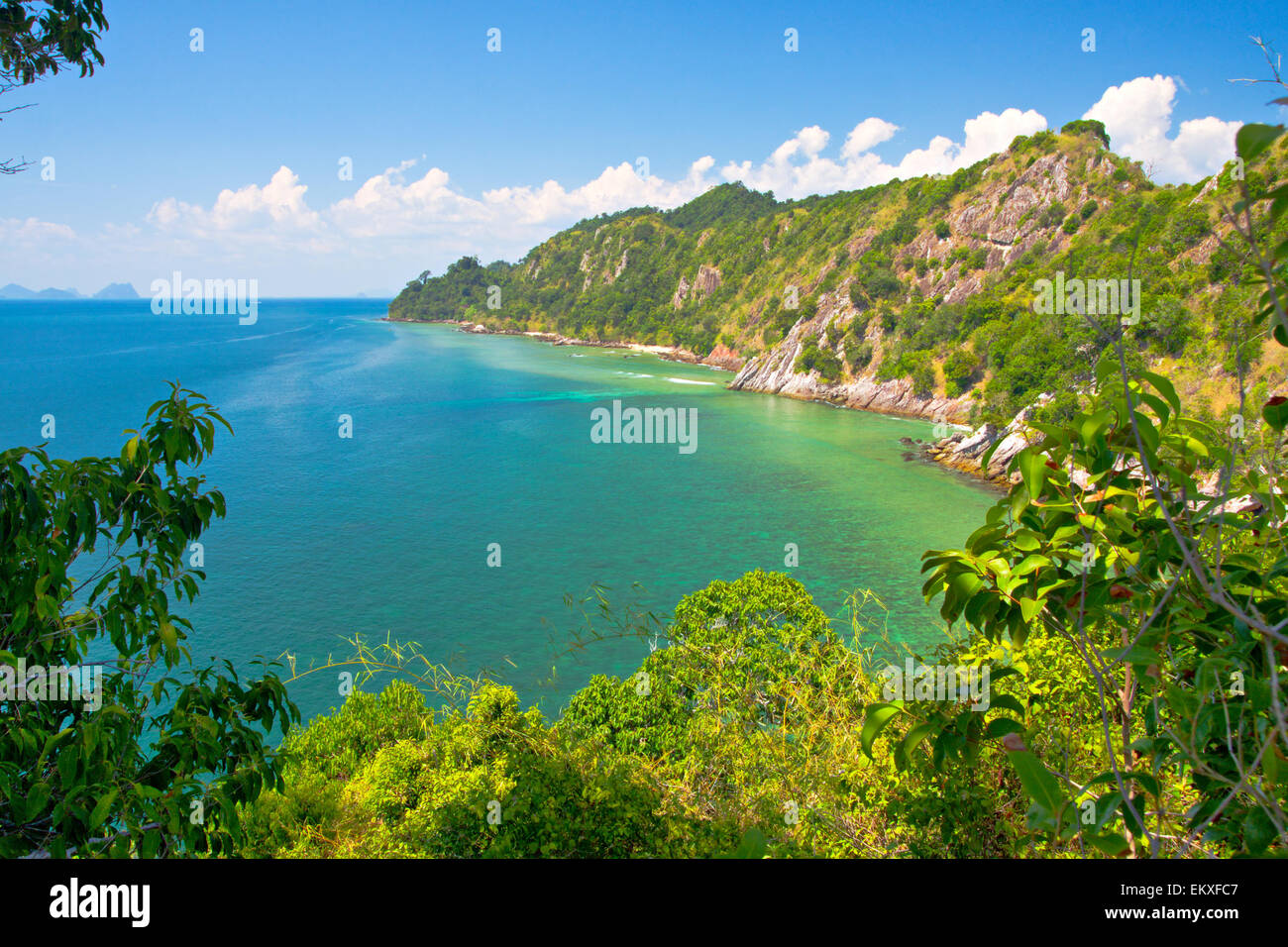 La mer et la jungle tropicale Banque D'Images