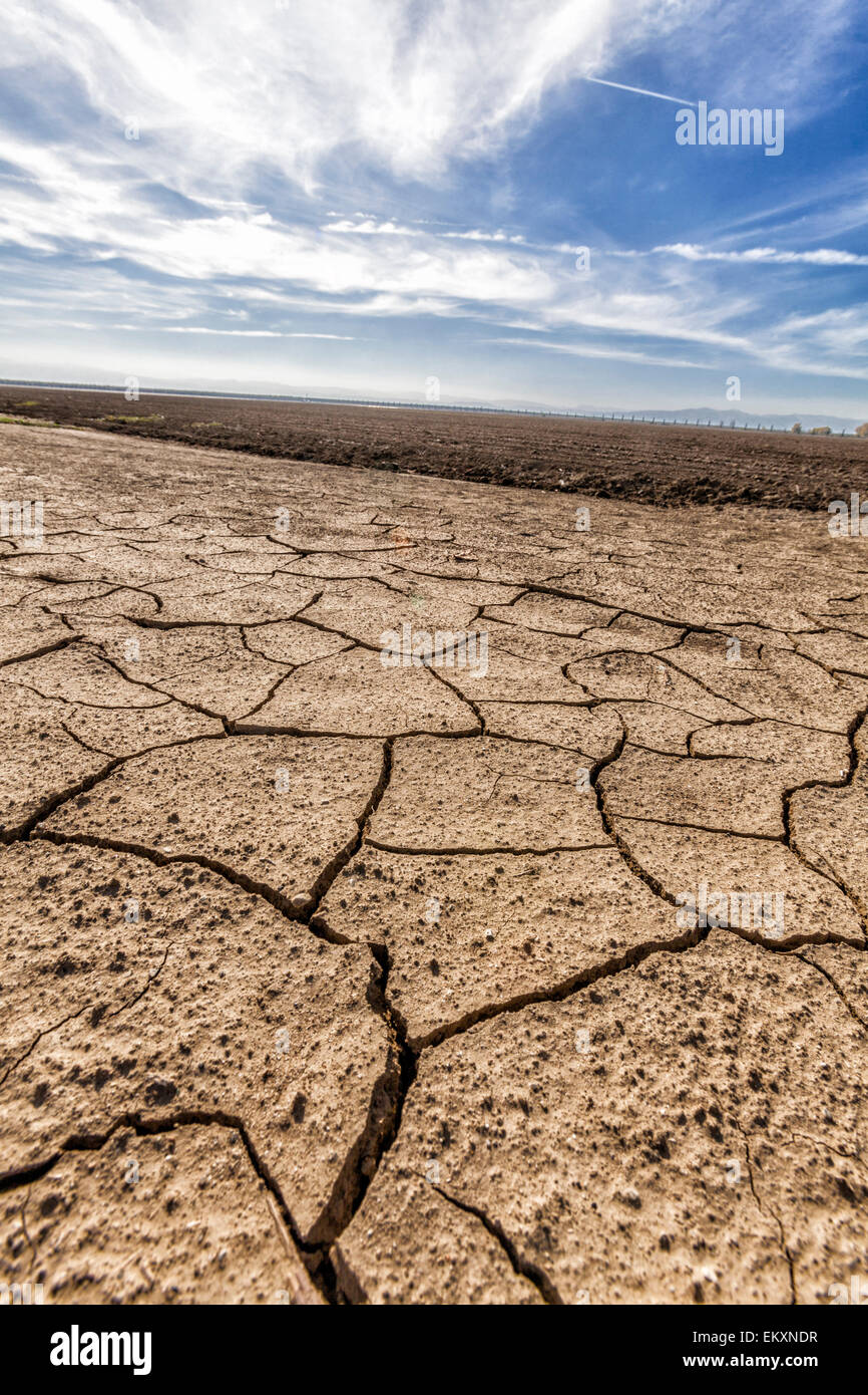 La terre sèche et craquelée à côté du champ de culture de jachère. Le comté de Fresno, San Joachin Valley, California, USA Banque D'Images