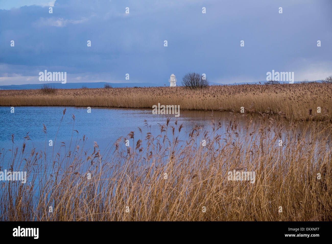 Approche de l'orage à Newport Wetlands. Banque D'Images