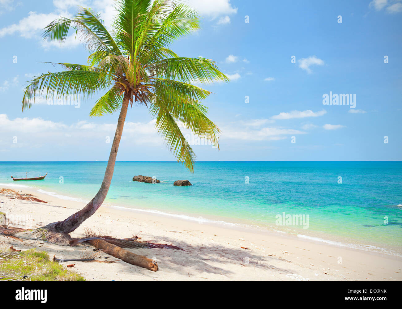 Plage tropicale avec cocotier. Koh Lanta, Thaïlande Banque D'Images