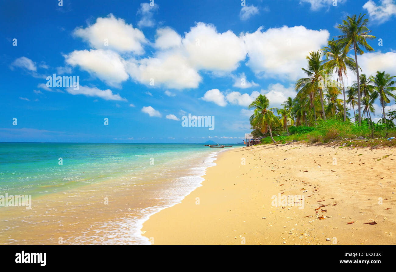 Belle plage tropicale Banque D'Images