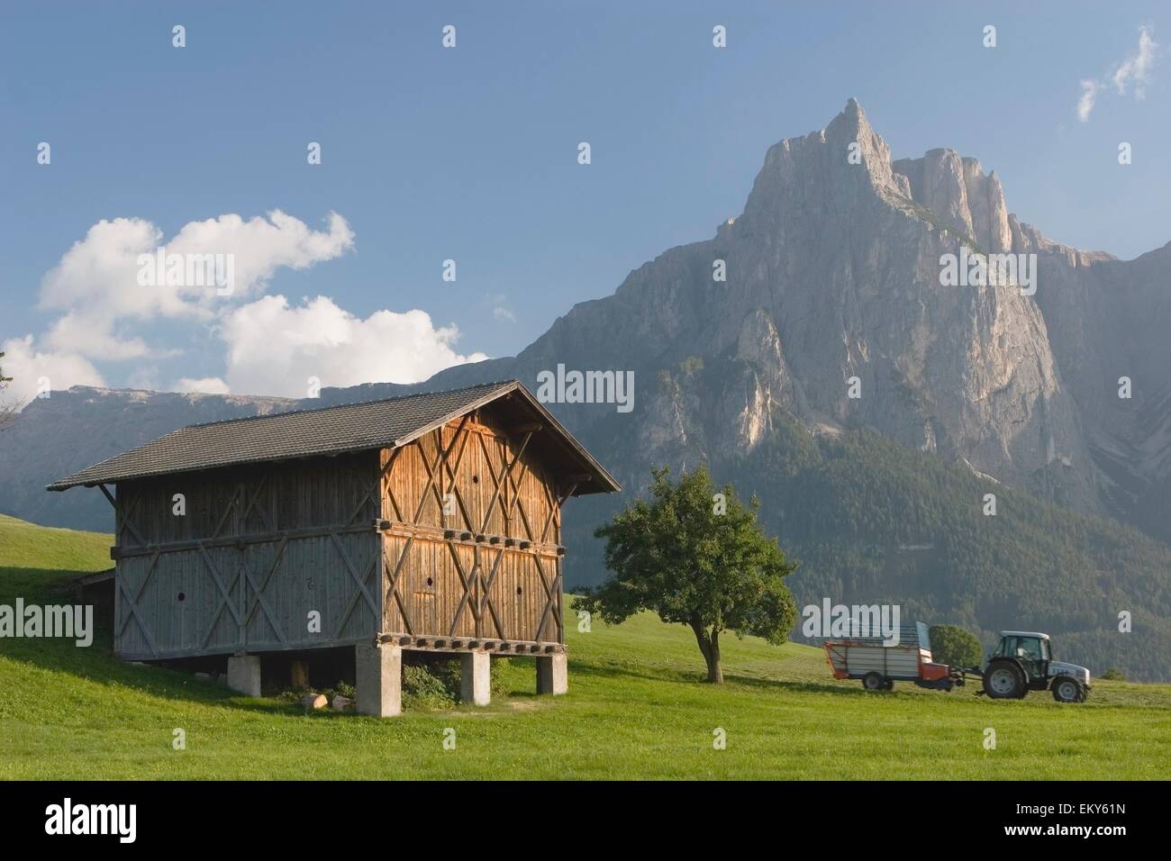 Grange en bois, Castelrotto, Alto Adige, Italie Banque D'Images