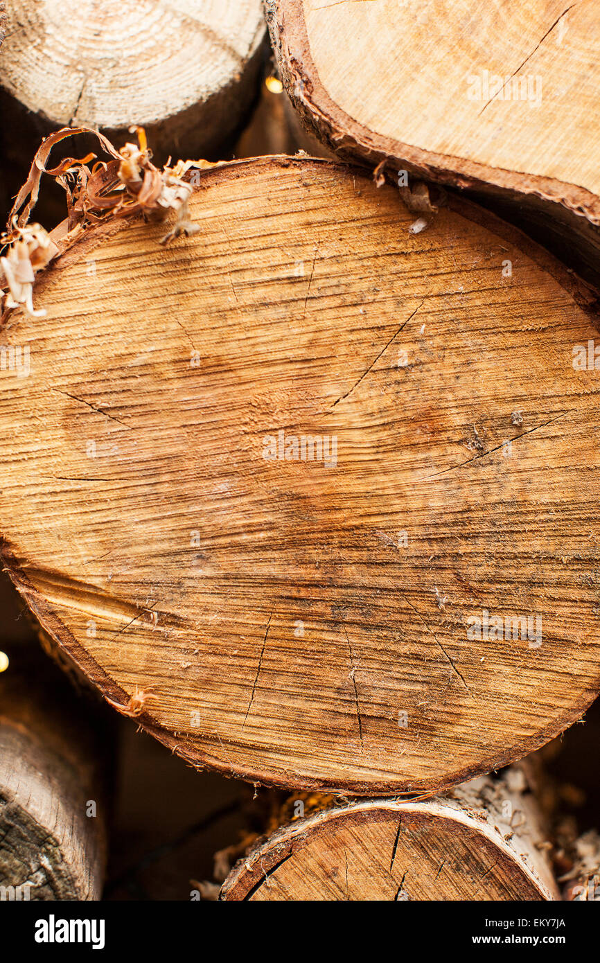 La texture du sol en bois grumes coupées par le milieu Banque D'Images